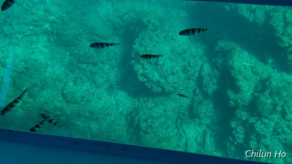 親慶原簡易郵便局
